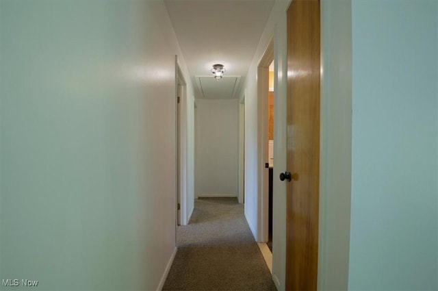 31 Garden Park Dr, Chagrin Falls, OH 44022 - hallway with attic access, baseboards, and carpet flooring