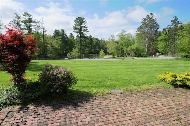 31 Garden Park Dr, Chagrin Falls, OH 44022 - view of property's community with a yard