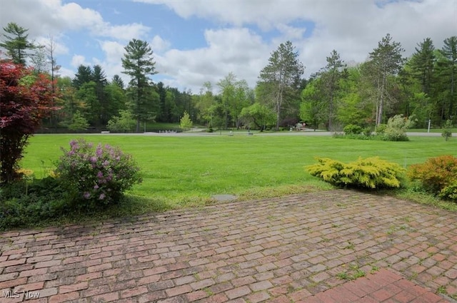 31 Garden Park Dr, Chagrin Falls, OH 44022 - view of community with a lawn and a water view