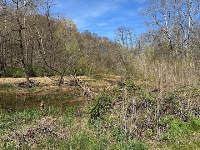 3882 State Route 60, Killbuck, OH 44637 - view of local wilderness