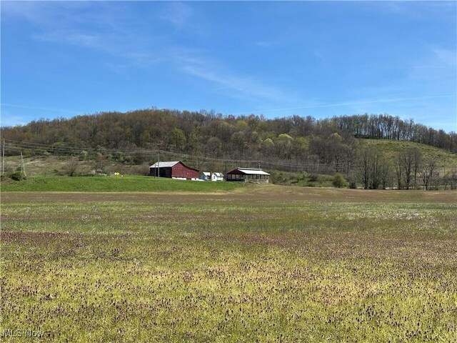 3882 State Route 60, Killbuck, OH 44637 - view of green lawn featuring a view of trees and a view of rural / pastoral area