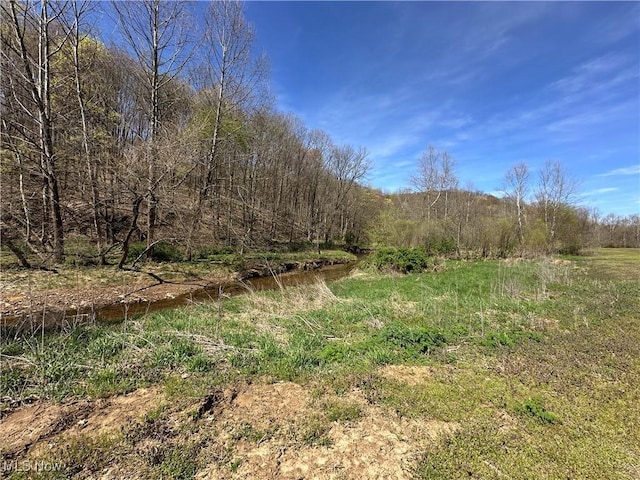 3882 State Route 60, Killbuck, OH 44637 - view of nature