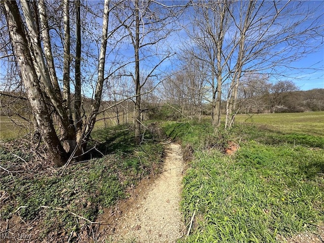 3882 State Route 60, Killbuck, OH 44637 - view of road