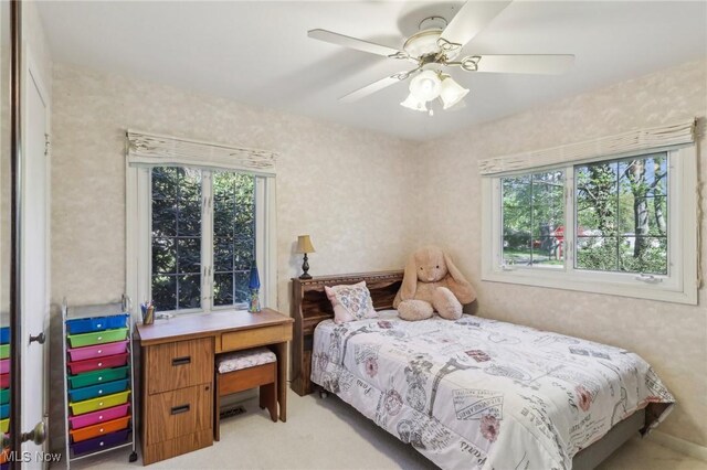 6008 Douglas Dr, Madison, OH 44057 - photo 23