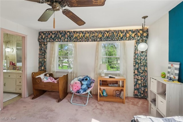 6008 Douglas Dr, Madison, OH 44057 - photo 31