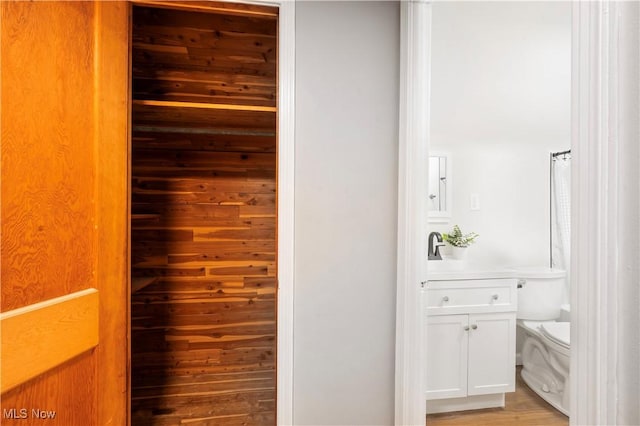 2400 Saybrook Rd, University Heights, OH 44118 - closet featuring a sink
