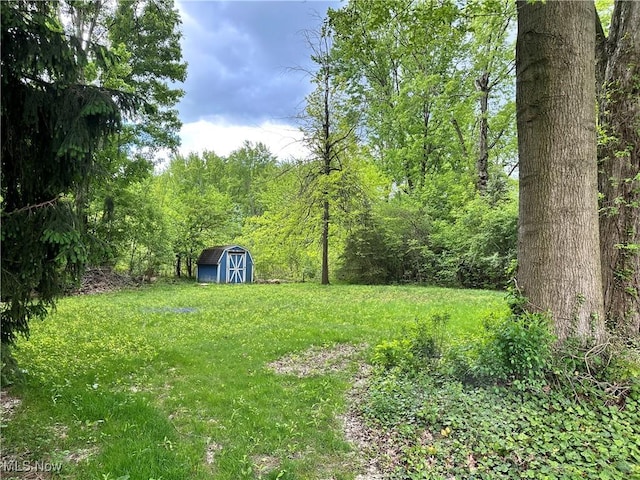9744 Andrea Dr, Concord, OH 44060 - view of green lawn with a storage unit, a forest view, and an outbuilding