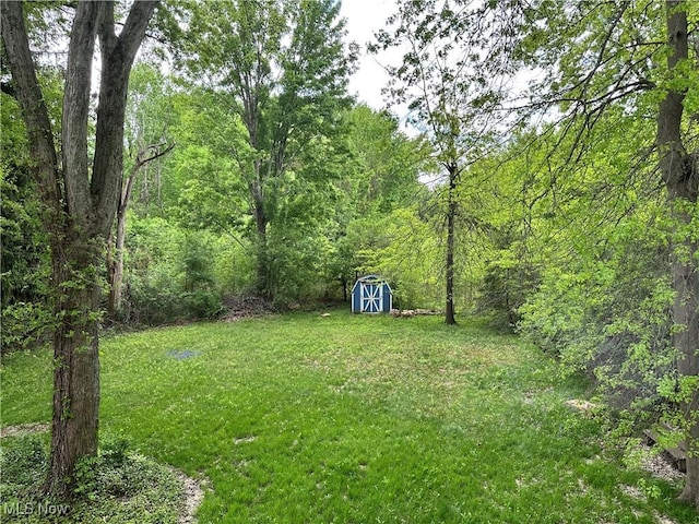 9744 Andrea Dr, Concord, OH 44060 - view of grassy yard featuring a storage shed, an outbuilding, and a forest view