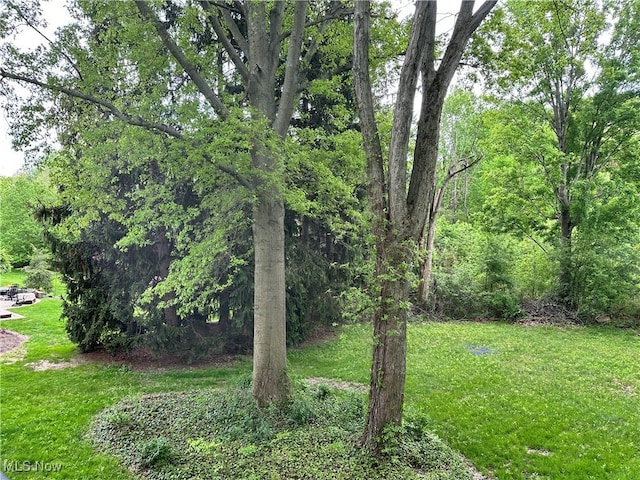 9744 Andrea Dr, Concord, OH 44060 - view of green lawn