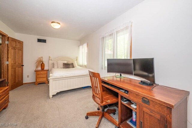 8584 Fisher Rd, Diamond, OH 44412 - bedroom featuring an office area, light colored carpet, and baseboards