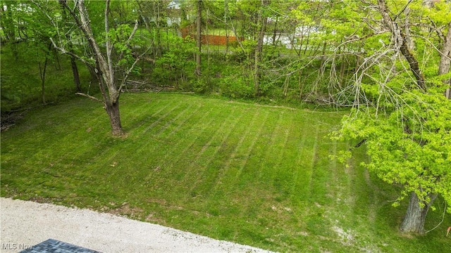 17469 Laurel Ave, Lake Milton, OH 44429 - view of green lawn