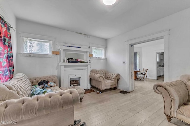 1348 Himrod Ave, Youngstown, OH 44506 - living room with a fireplace and light wood-type flooring