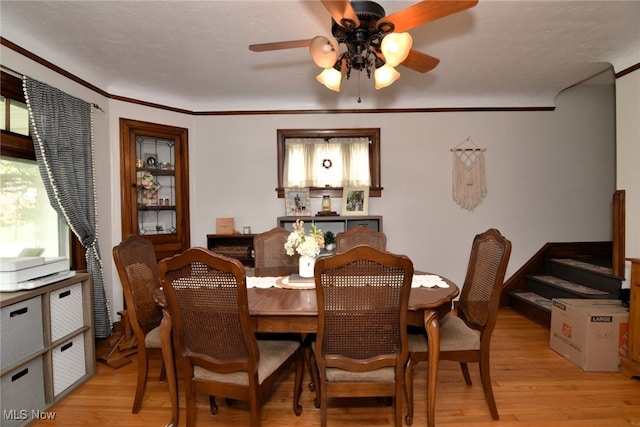 dining space with light wood-style flooring, a ceiling fan, and crown molding