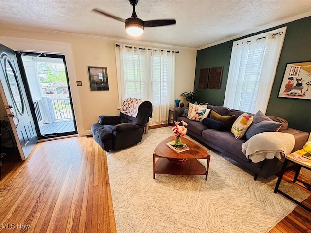 211 Kenwood St, Marietta, OH 45750 - living area with wood finished floors, ornamental molding, a textured ceiling, a ceiling fan, and baseboards