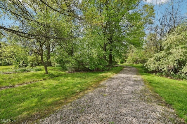 33335 Bagley Rd, North Ridgeville, OH 44039 - photo 4
