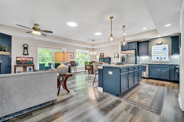 kitchen featuring stainless steel appliances, a tray ceiling, a kitchen island, wood finished floors, and recessed lighting