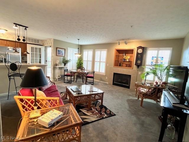 23003 Chandlers Ln Unit 219, Olmsted Falls, OH 44138 - living area featuring carpet floors, plenty of natural light, rail lighting, a fireplace, and a textured ceiling