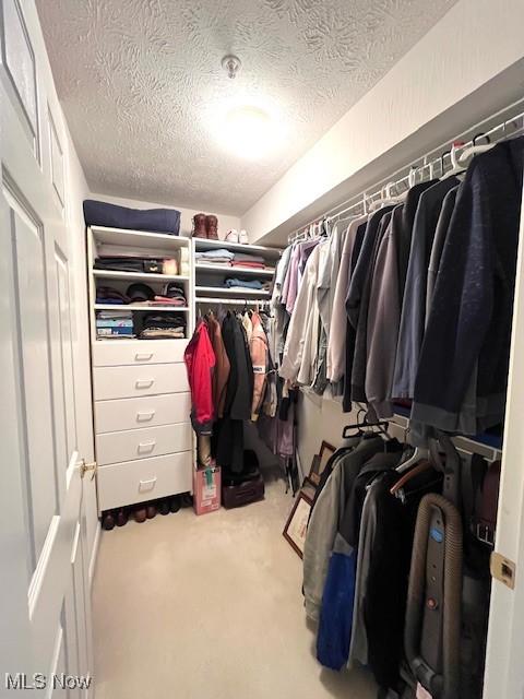 23003 Chandlers Ln Unit 219, Olmsted Falls, OH 44138 - walk in closet featuring carpet flooring