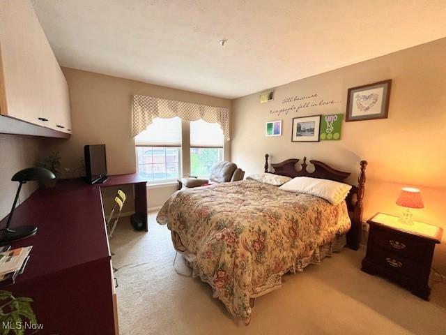 23003 Chandlers Ln Unit 219, Olmsted Falls, OH 44138 - bedroom with light carpet