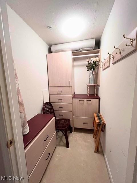 23003 Chandlers Ln Unit 219, Olmsted Falls, OH 44138 - walk in closet with light carpet