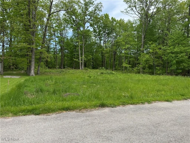 16646 Oakwood Dr, Lake Milton, OH 44429 - photo 6