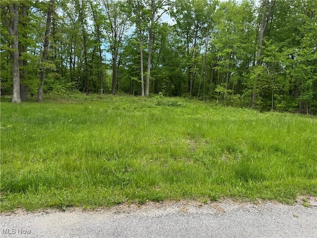 16646 Oakwood Dr, Lake Milton, OH 44429 - photo 1