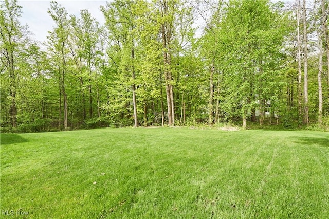 7304 Glastonbury Dr, Hudson, OH 44236 - view of green lawn