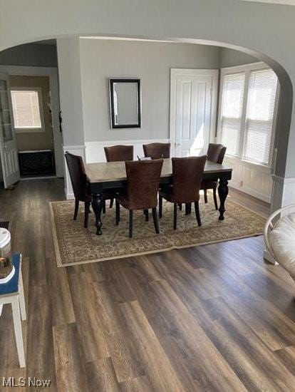 566 N Walnut St, Wooster, OH 44691 - dining area featuring plenty of natural light, arched walkways, and dark wood-type flooring