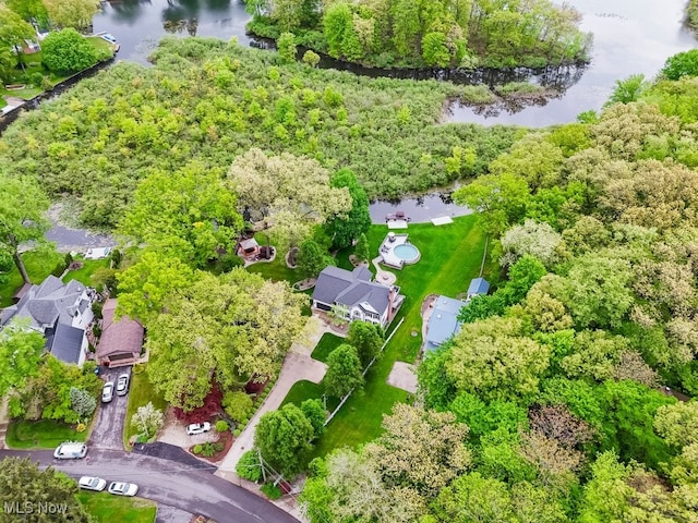 bird's eye view of a large body of water