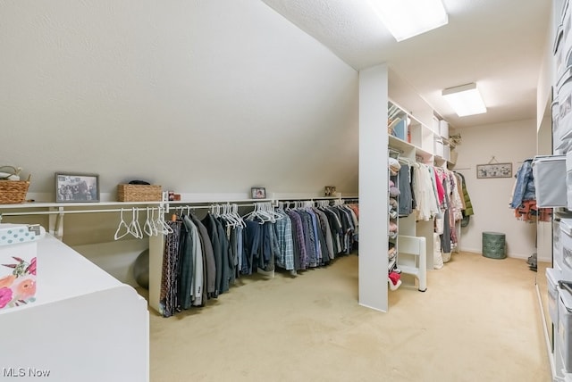 walk in closet with carpet flooring