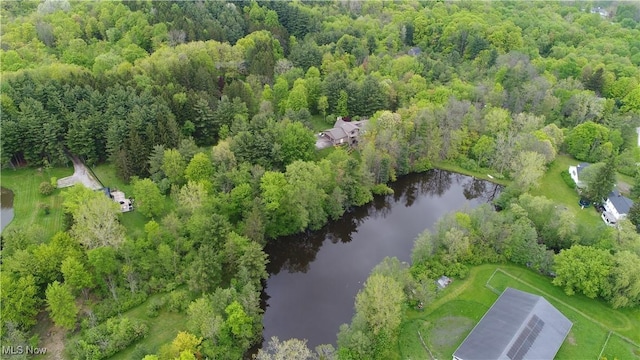 11305 Pine Acres Ln, Chesterland, OH 44026 - photo 47