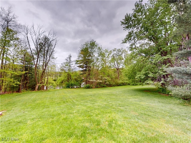 11305 Pine Acres Ln, Chesterland, OH 44026 - photo 44