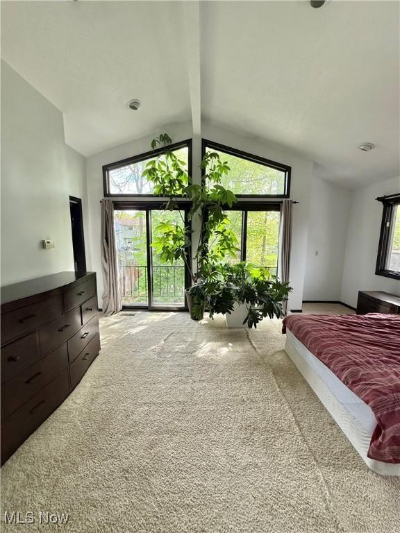 5460 Coronada Dr, Mentor-On-The-Lake, OH 44060 - bedroom with carpet flooring, access to outside, and multiple windows