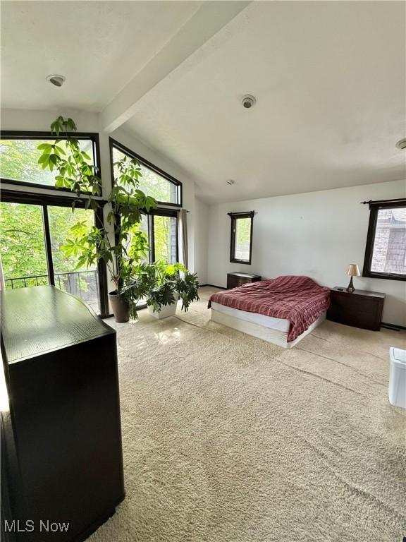 5460 Coronada Dr, Mentor-On-The-Lake, OH 44060 - view of carpeted bedroom