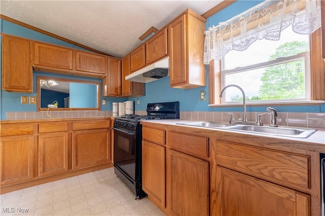 5240 Chalon Rd SW, Carrollton, OH 44615 - kitchen with black gas range oven, under cabinet range hood, a sink, vaulted ceiling, and light countertops