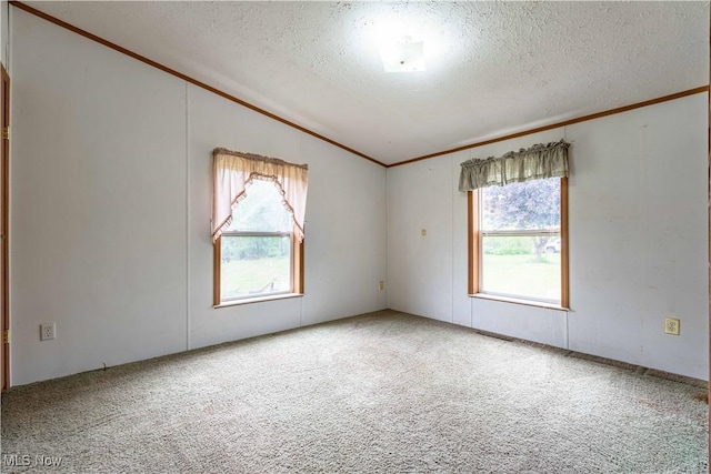 5240 Chalon Rd SW, Carrollton, OH 44615 - carpeted empty room with ornamental molding, vaulted ceiling, a textured ceiling, and plenty of natural light