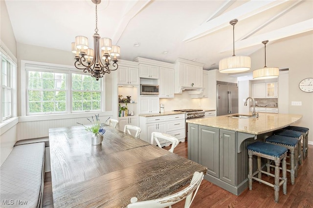 4168 Hadleigh Rd, University Heights, OH 44118 - kitchen with high end appliances, a sink, a chandelier, dark wood finished floors, and an island with sink