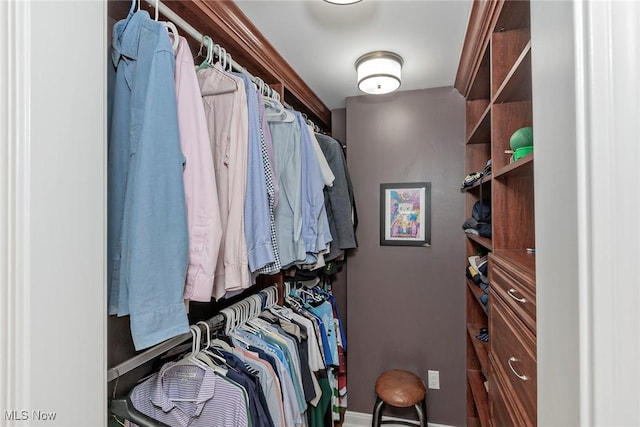 4168 Hadleigh Rd, University Heights, OH 44118 - view of spacious closet