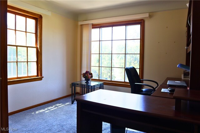 carpeted office space featuring plenty of natural light and baseboards
