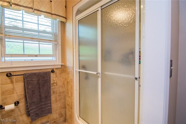 45 S Ridge Dr, Martins Ferry, OH 43935 - full bathroom with a shower stall