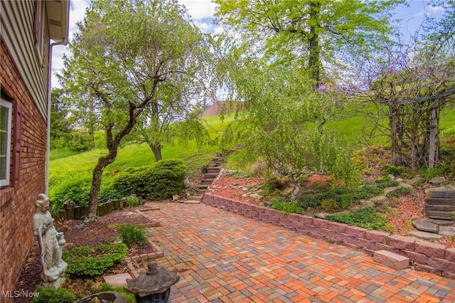 45 S Ridge Dr, Martins Ferry, OH 43935 - view of patio with stairs