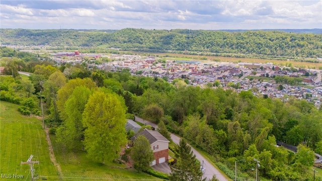 45 S Ridge Dr, Martins Ferry, OH 43935 - drone / aerial view
