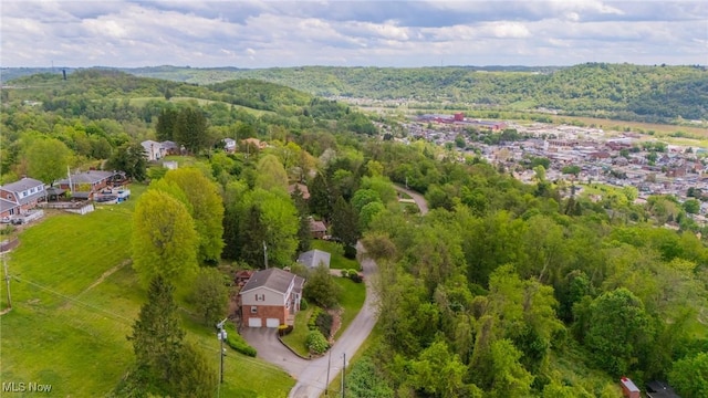 45 S Ridge Dr, Martins Ferry, OH 43935 - bird's eye view of a heavily wooded area