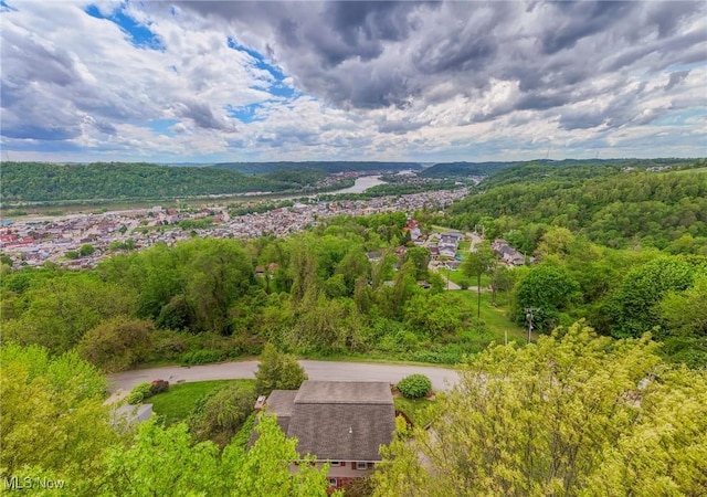 45 S Ridge Dr, Martins Ferry, OH 43935 - aerial view of a forest