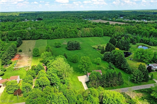 drone / aerial view of a forest and a large body of water