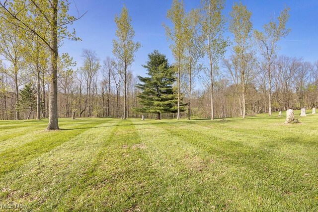 9585 Shaw Rd, Spencer, OH 44275 - photo 41