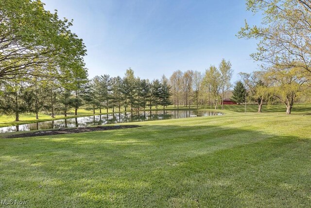 9585 Shaw Rd, Spencer, OH 44275 - photo 44
