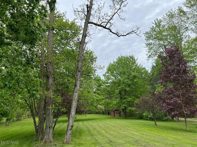 2165 Stony Hill Rd, Hinckley, OH 44233 - view of green lawn