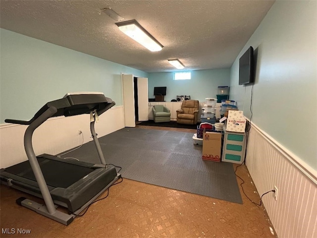 2165 Stony Hill Rd, Hinckley, OH 44233 - workout area featuring a textured ceiling and a wainscoted wall