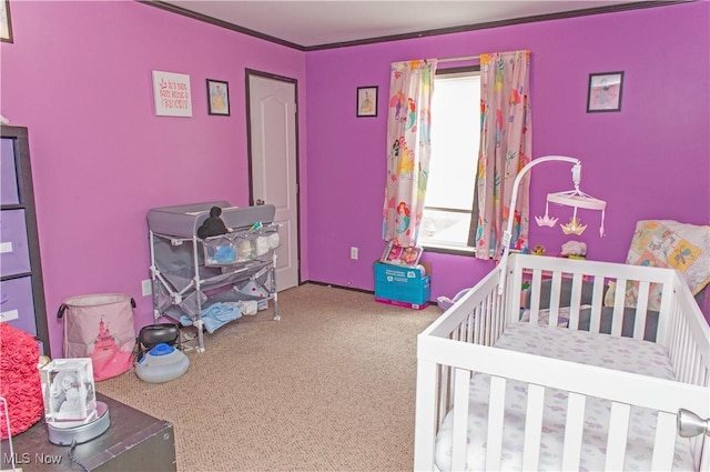 4691 Scenic Dr, Ravenna, OH 44266 - bedroom with carpet flooring